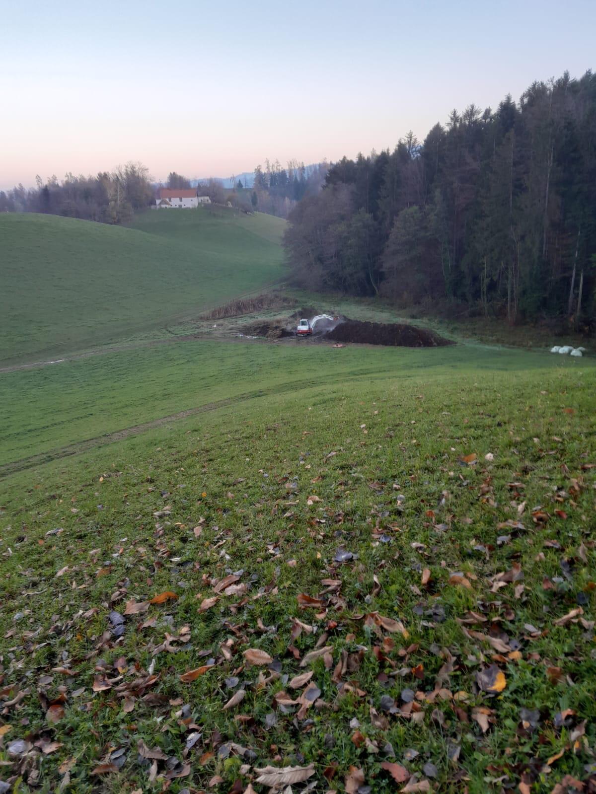 Rinder Pferde Mist 2