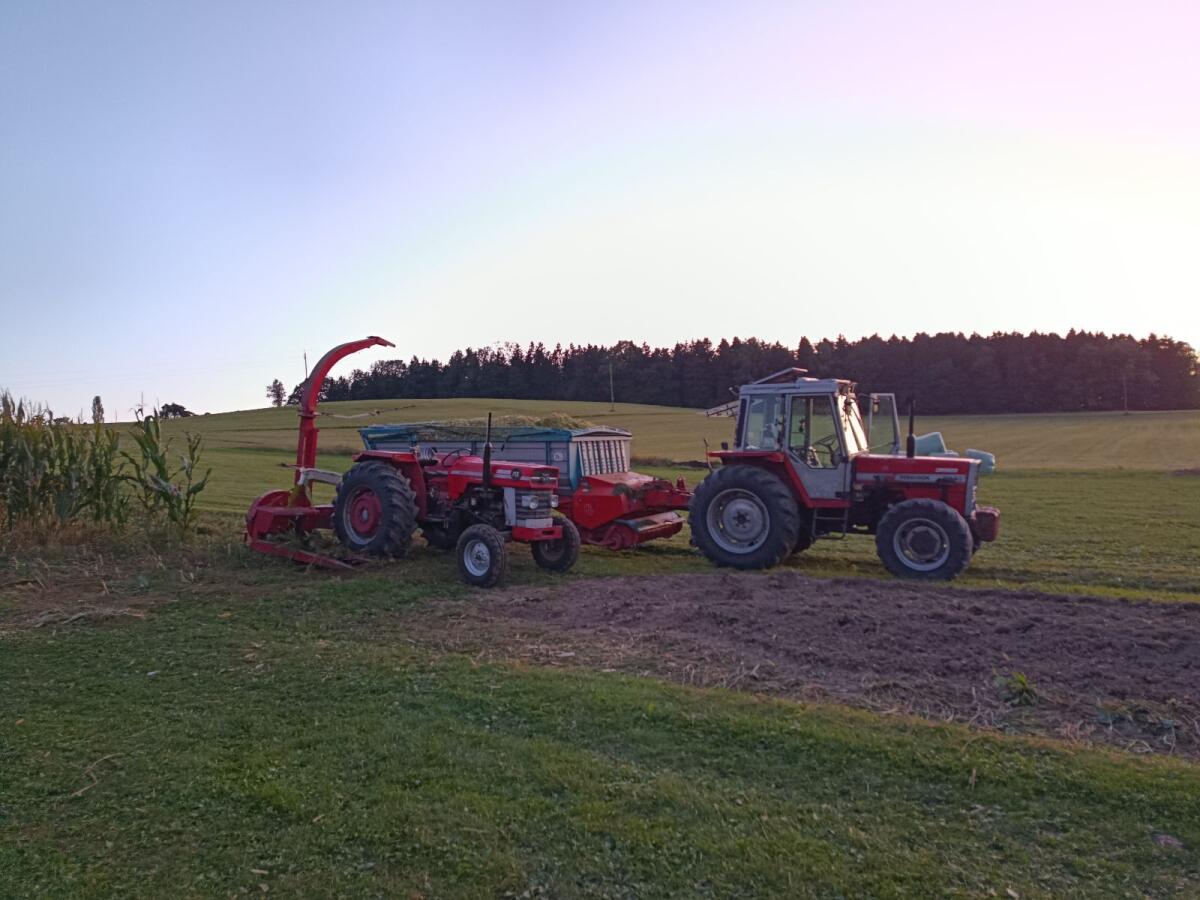 Massey Ferguson 165 MP 2