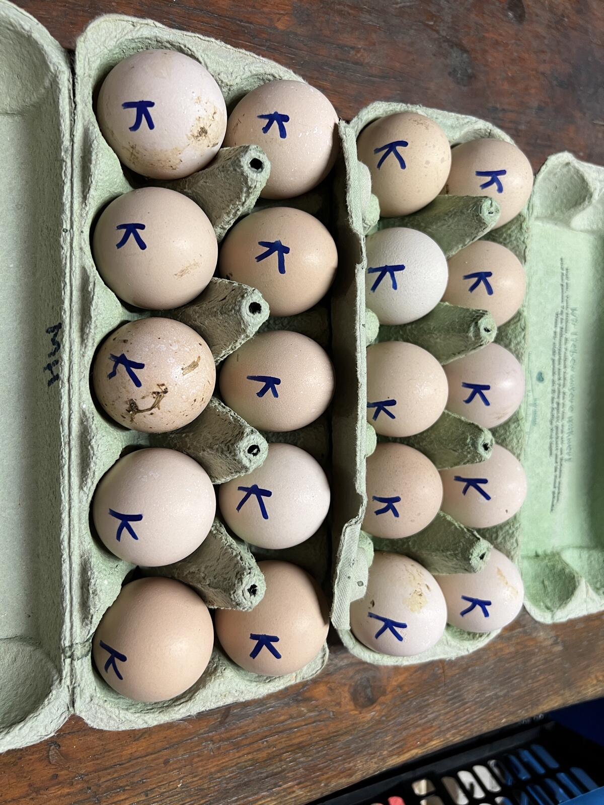 Original iranische Lari 3