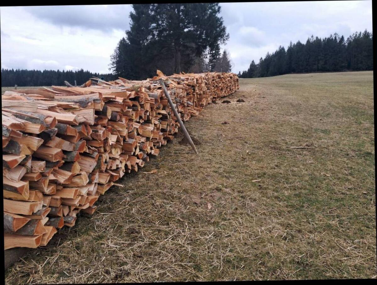 Brennholz Buchenholz Kaminholz 2