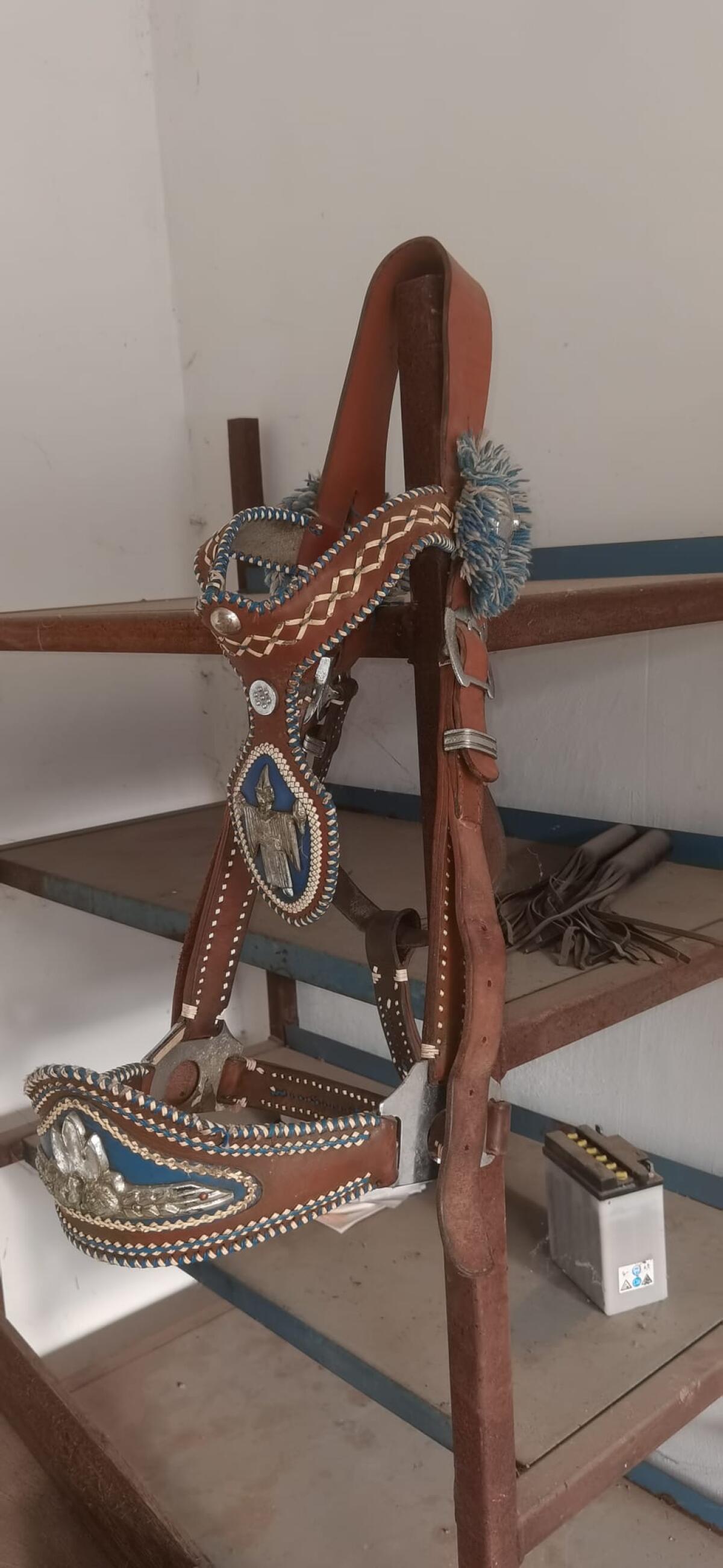 Kaltblut Halfter Einspannhalfter 3