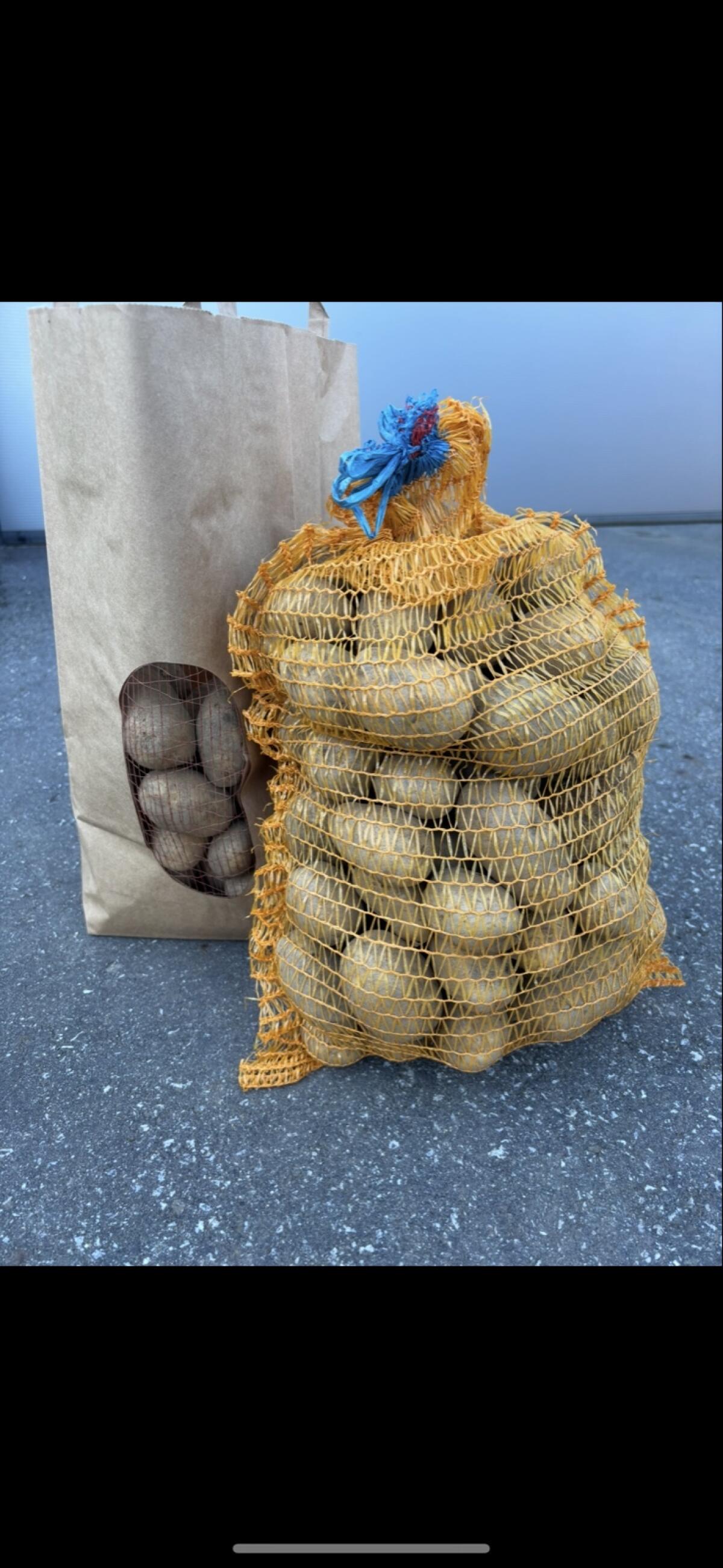 Bio Speisekartoffel 2