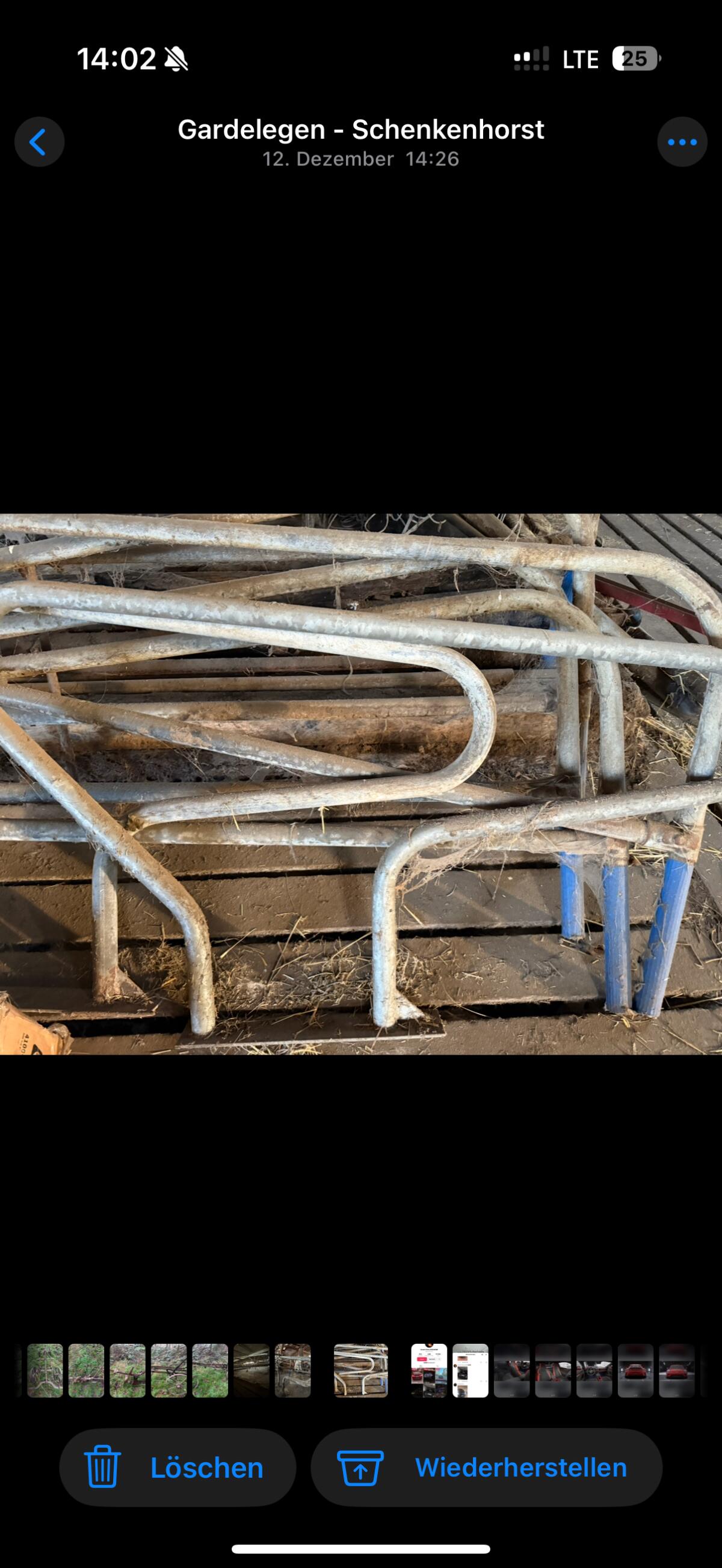 Trennbügel Liegeboxen 2