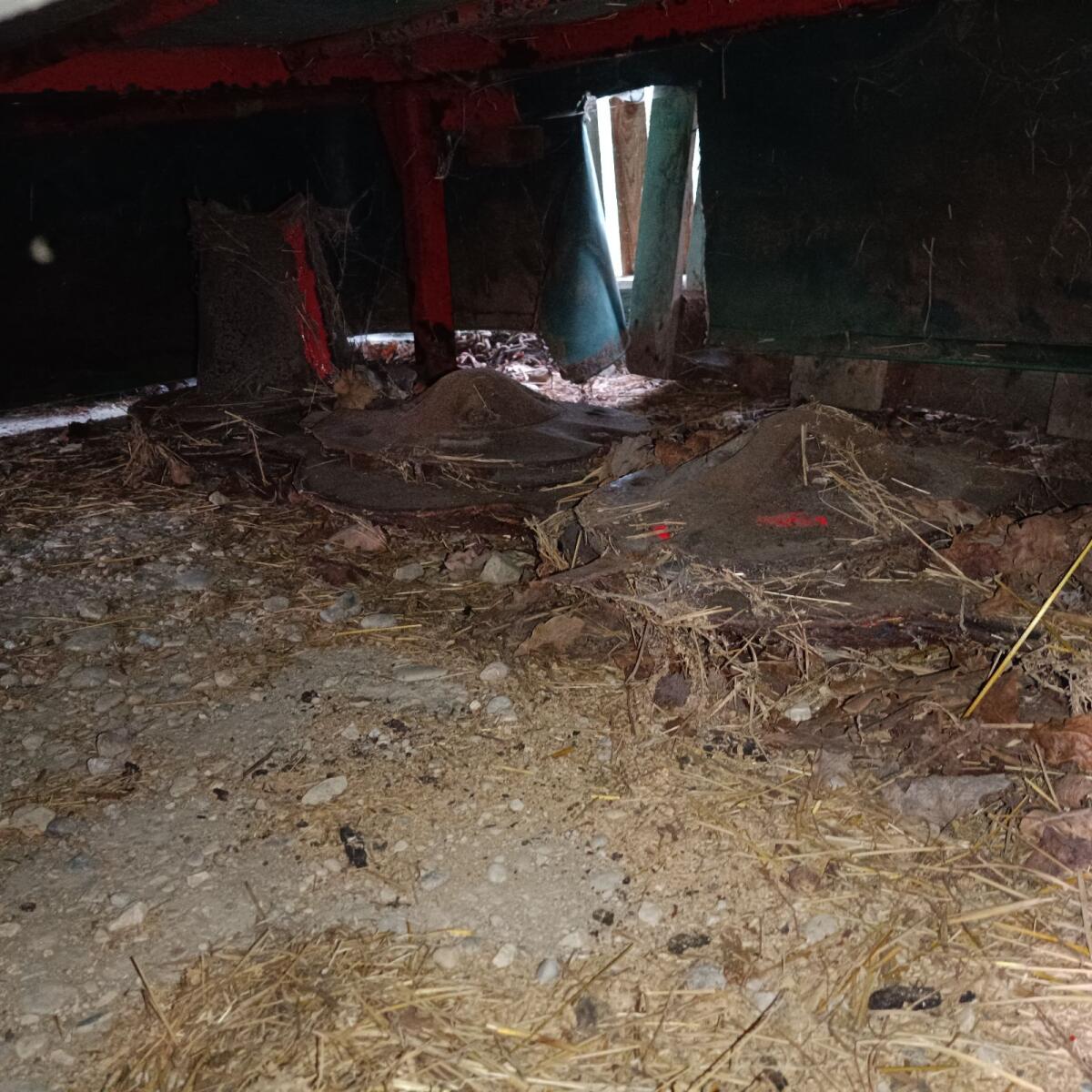 Scheibenmähwerk Saphir Heckmähwerk 2