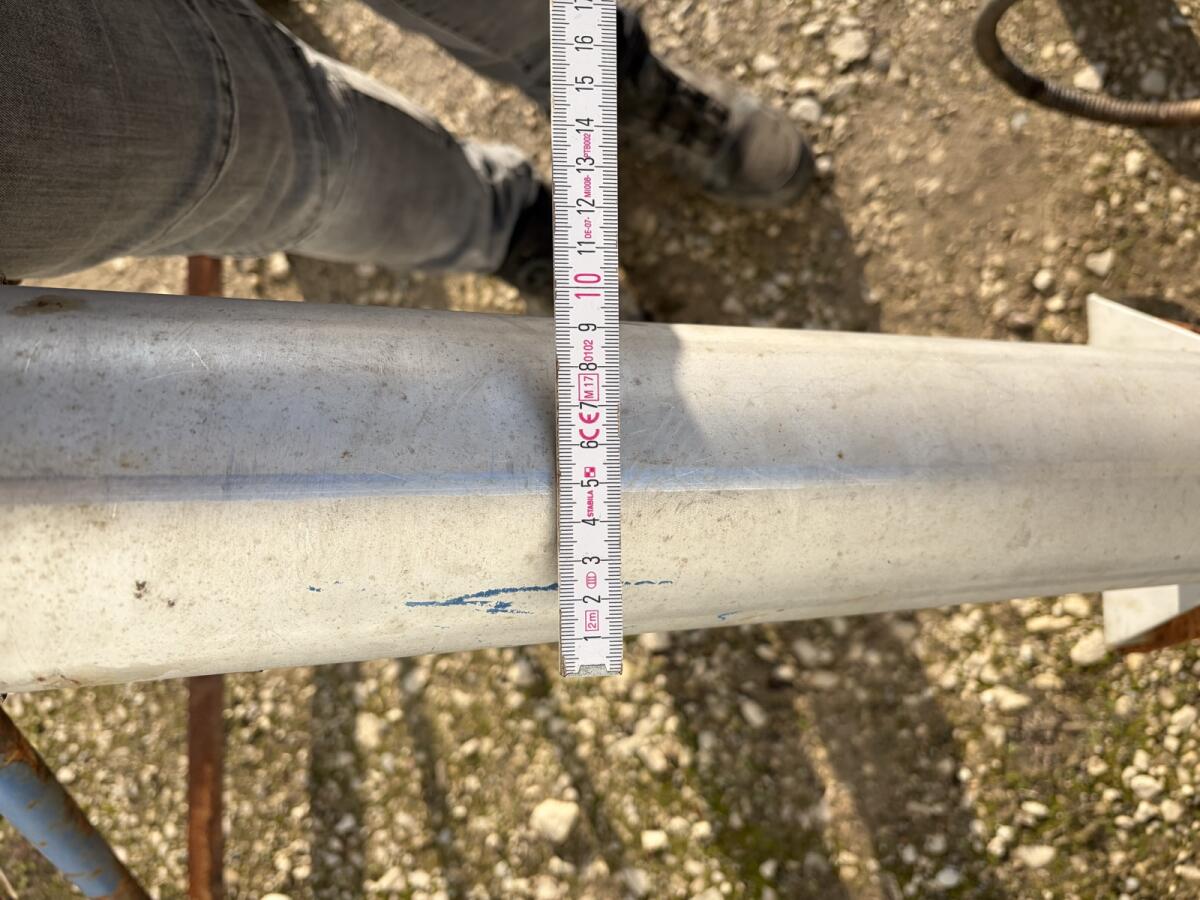 Schnecke Getreideschnecke Salzschnecke 2