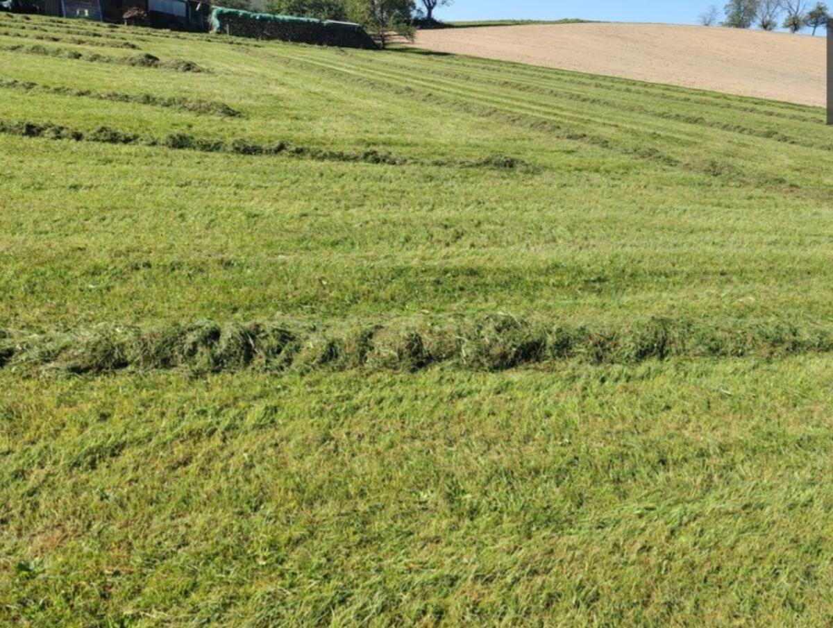 Siloballen, Silageballen 2