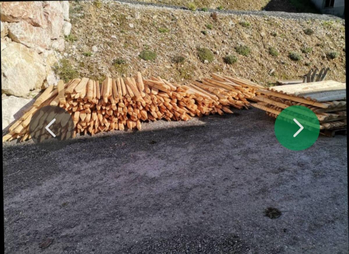 Lärchen Pflöcke, Stempel, Stiedel 2