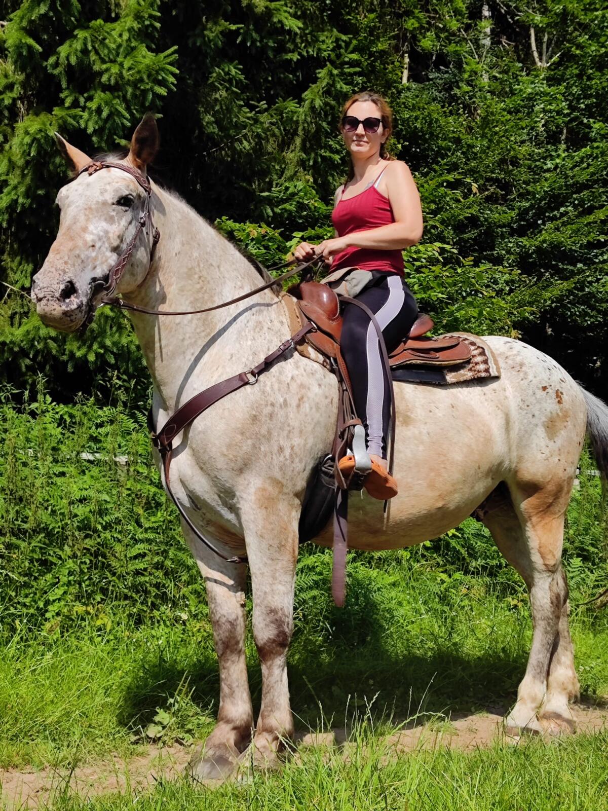 Reitbeteiligung zu vergeben 3