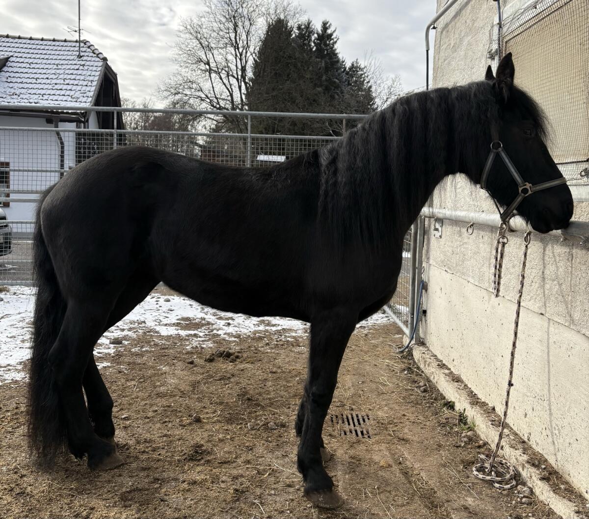 Ina sucht erfahrene Hände 3