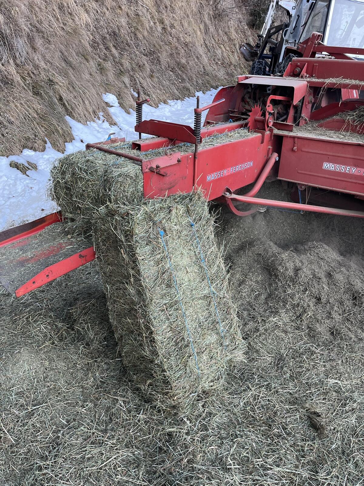 Bio Heu Kleinballen 2