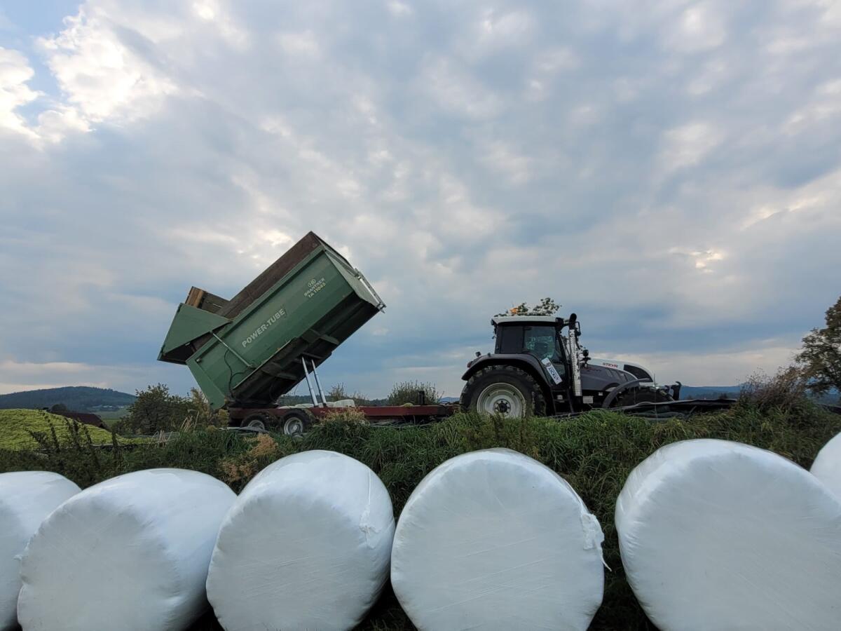 Brantner Power Tube 3