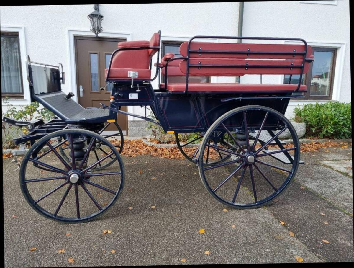 Wagonette für 8 Personen 2