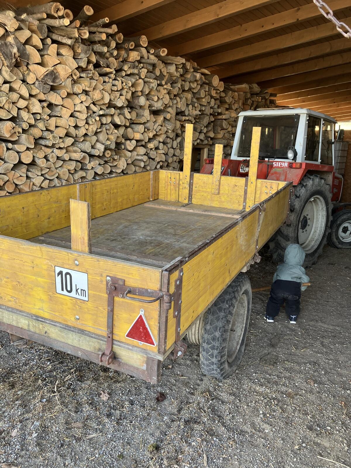 Holzanhänger / Forstanhänger / Anhänger 2