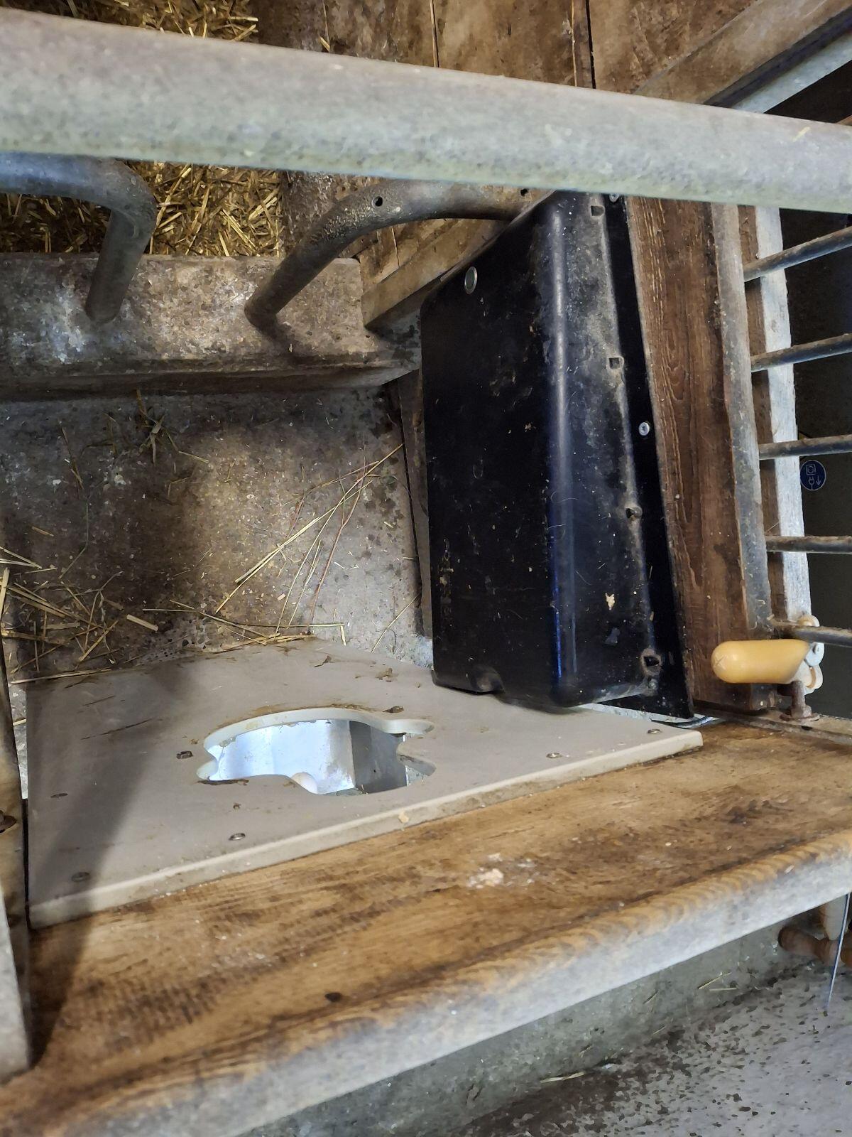 Kälbertränkeautomat 3