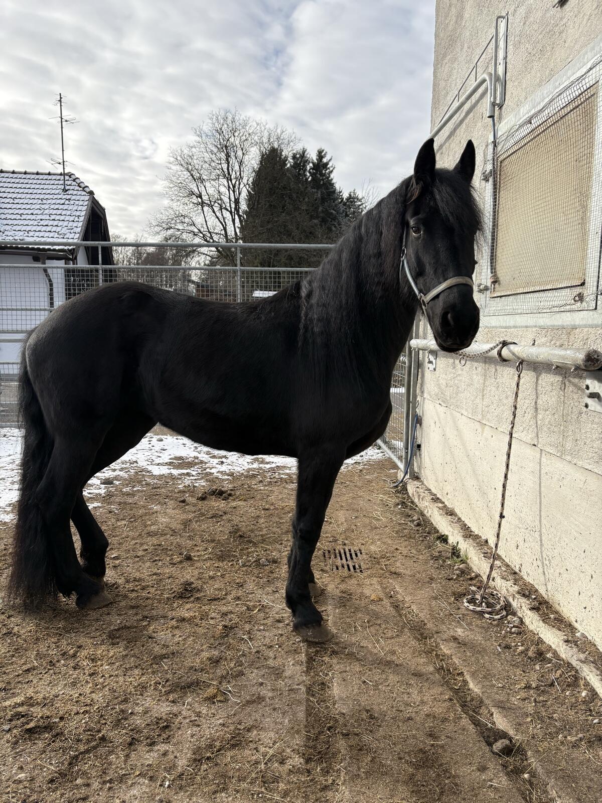 Ina sucht erfahrene Hände 2