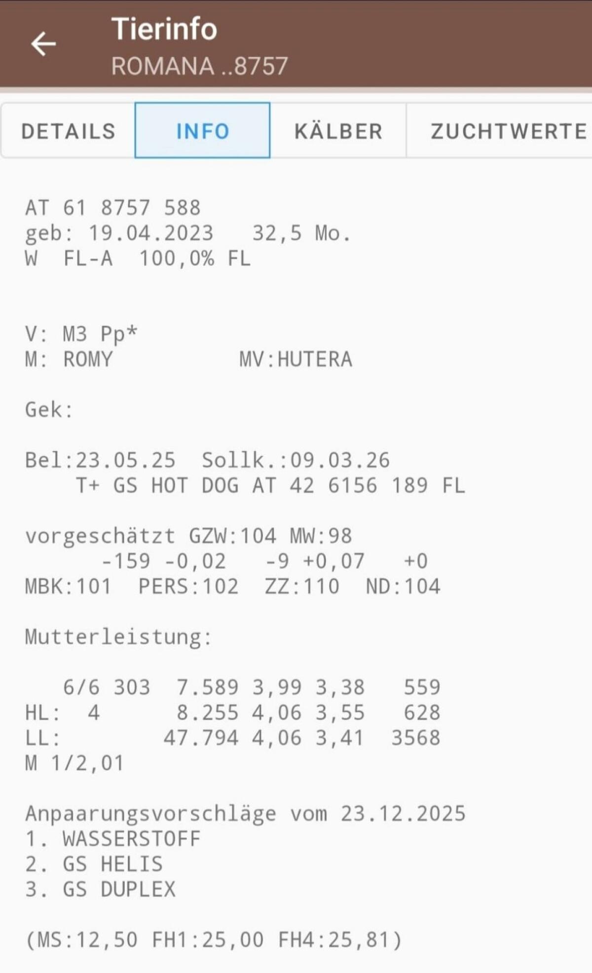 FV Kalbin trächtig zu verkaufen 3