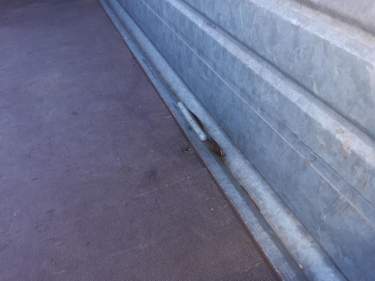 PKW Anhänger - Tandemachse 3