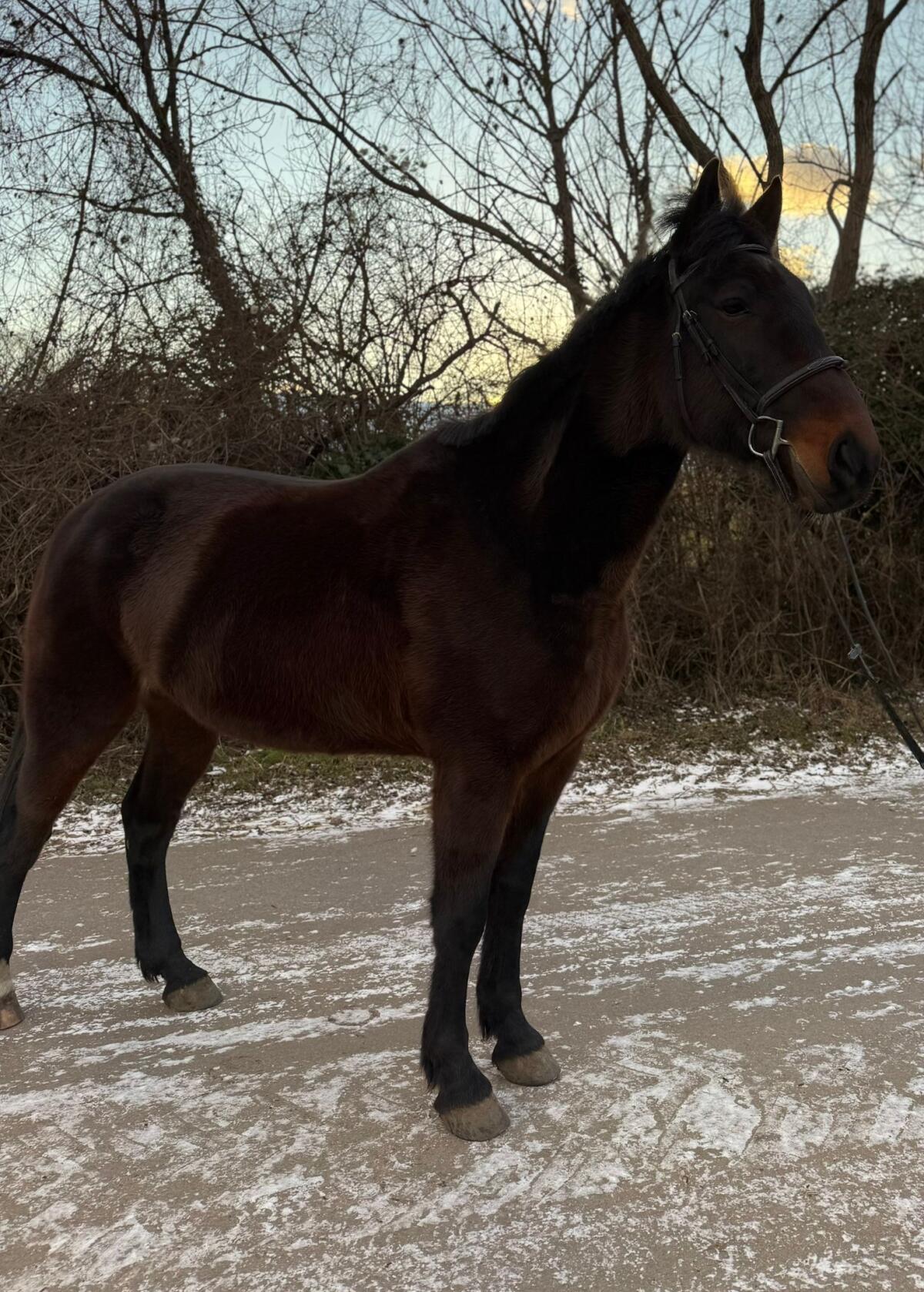 Toller Freizeitkumpel inkl. Zubehör 2