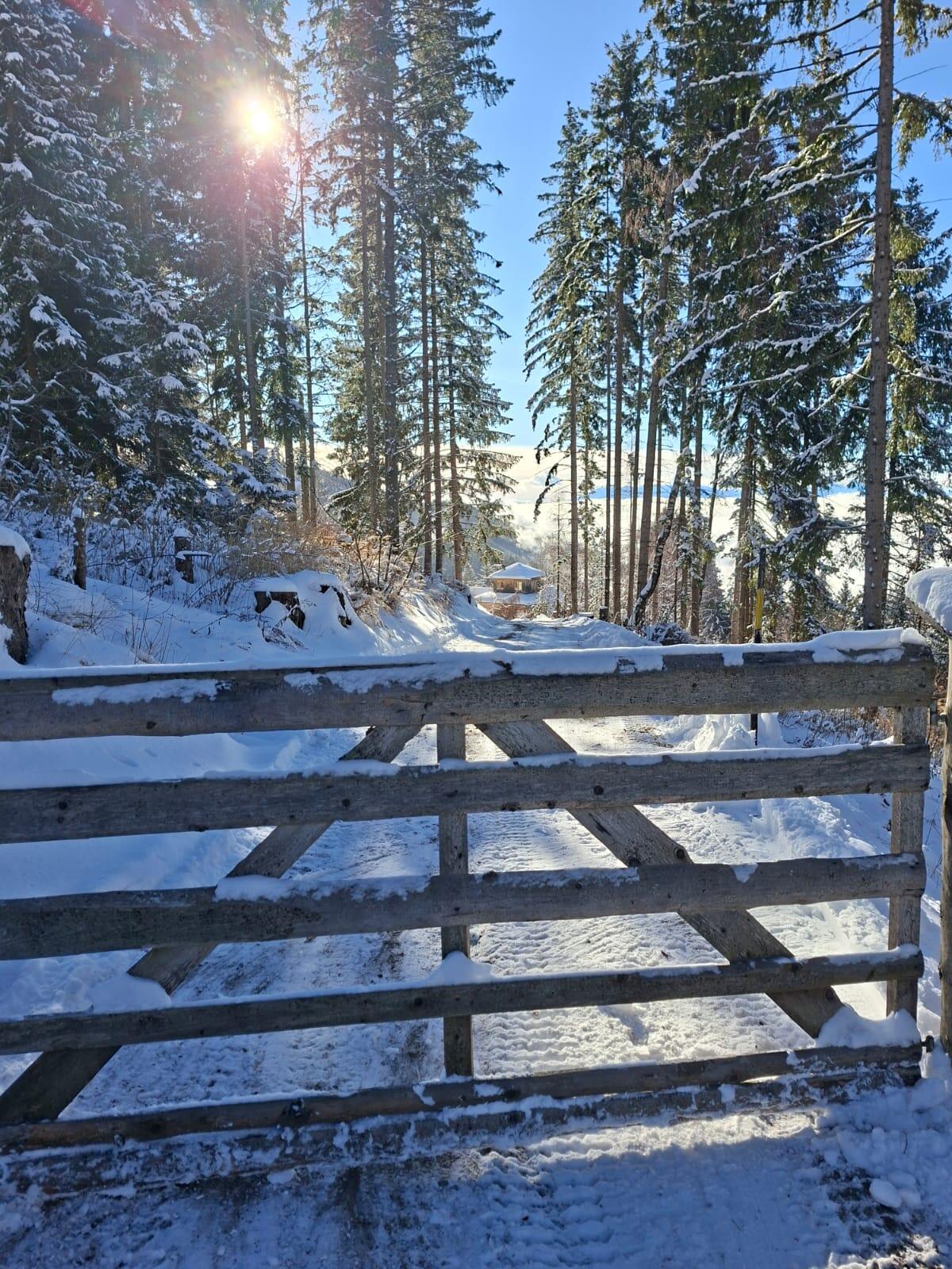 Haus, Chalet auf der Alm 3