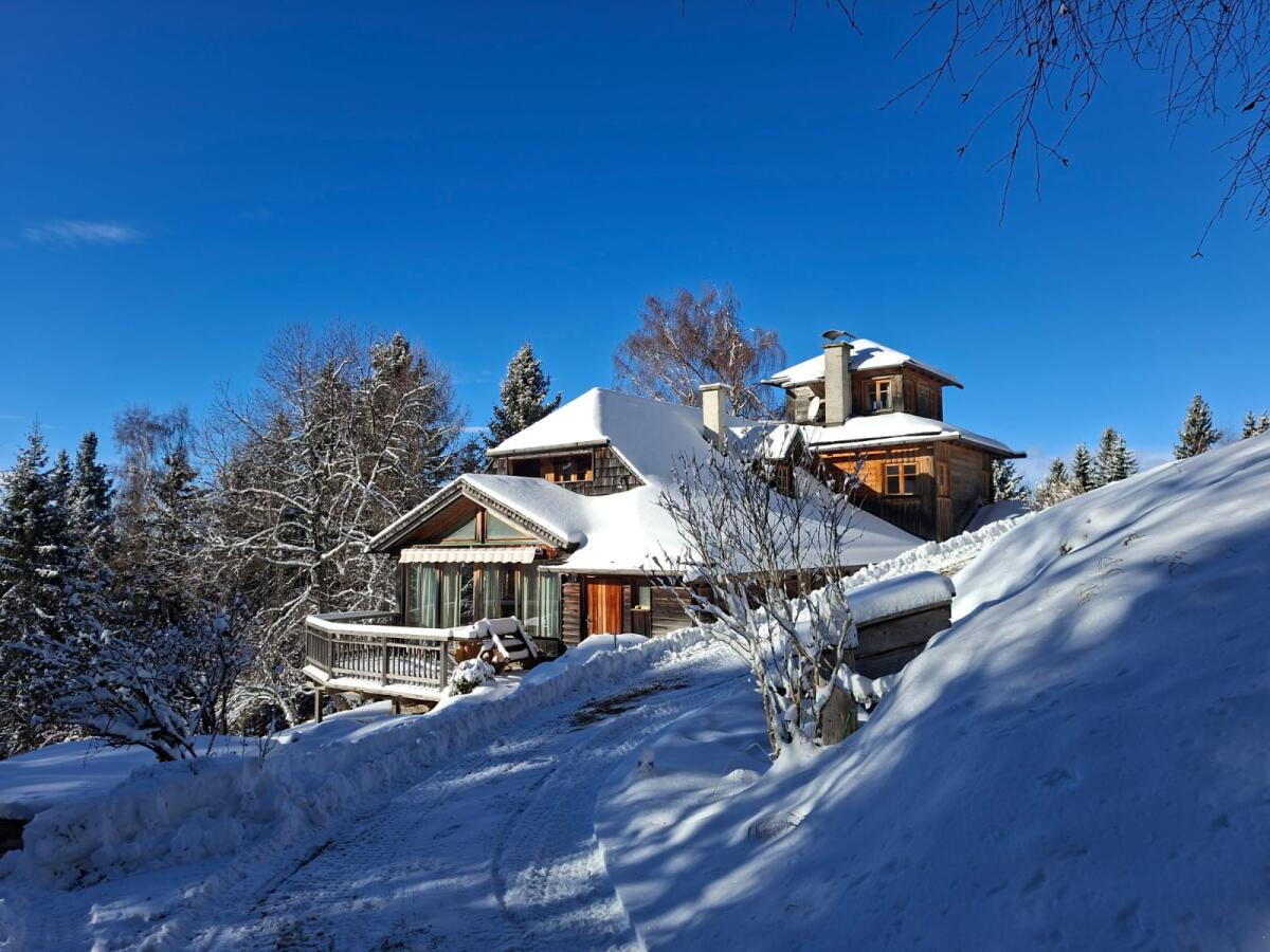 Haus, Chalet auf der Alm 2