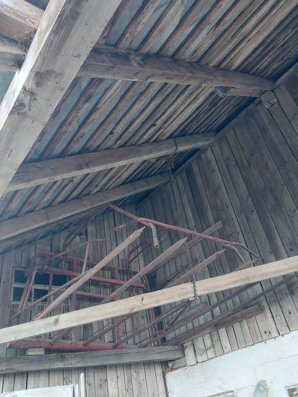 Heuschwanz 2