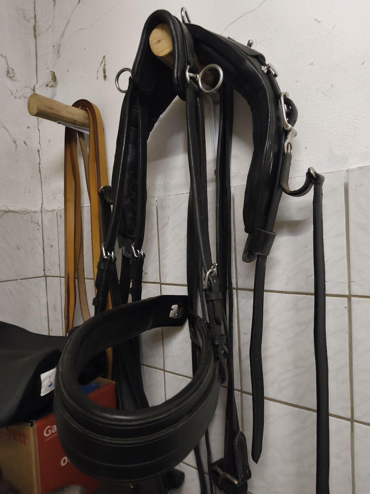 Einspänner Geschirr 2