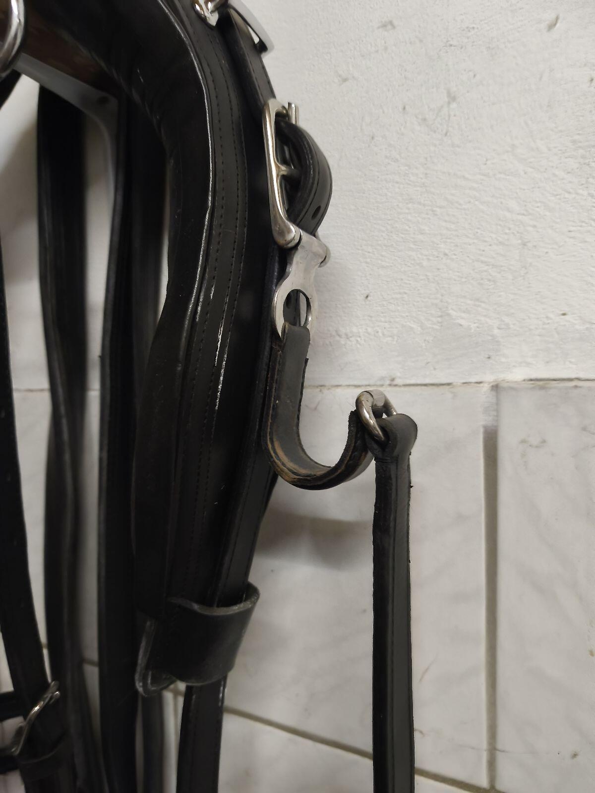 Einspänner Geschirr 3