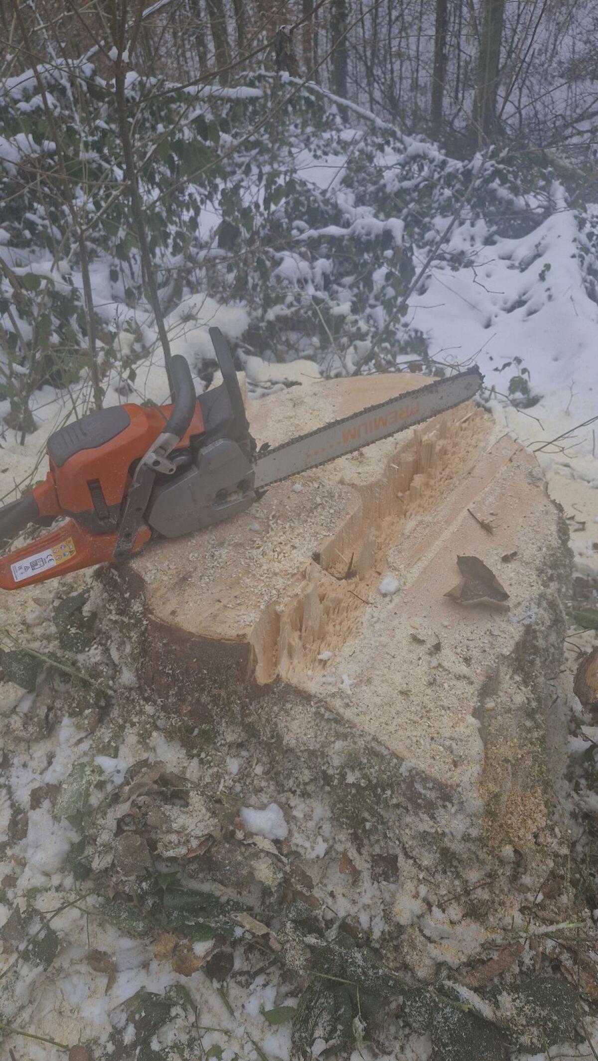 Husqvarna 560XPG mit Schiene und Reservekette 2