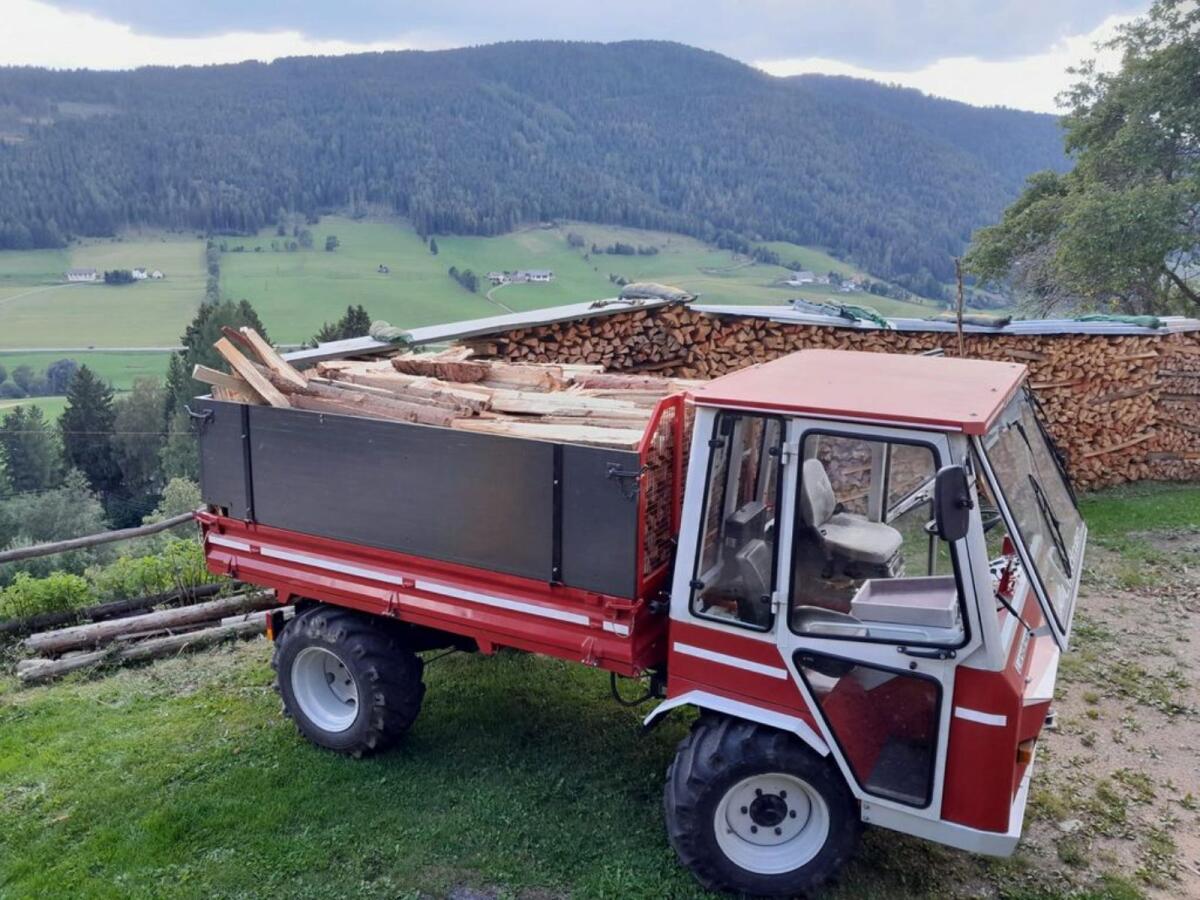 Fichten-Lärchenscheiter und Lärchenbriegelholz 3