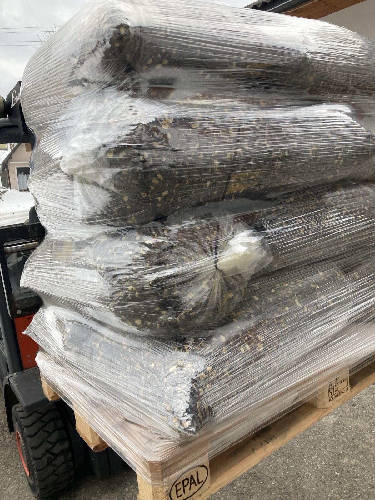 Steirische Kürbiskerne g.g.A. 2