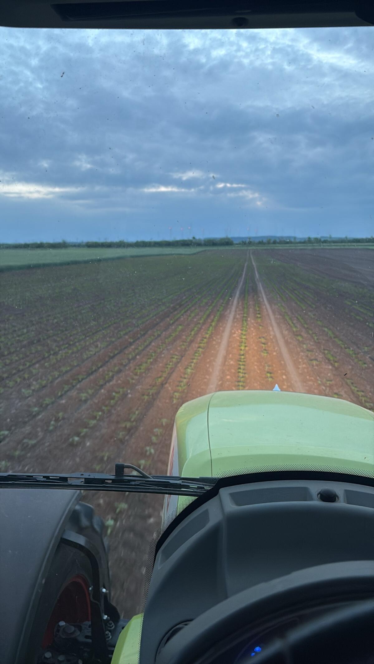 Lohnanbau Einzelkornsaat 3