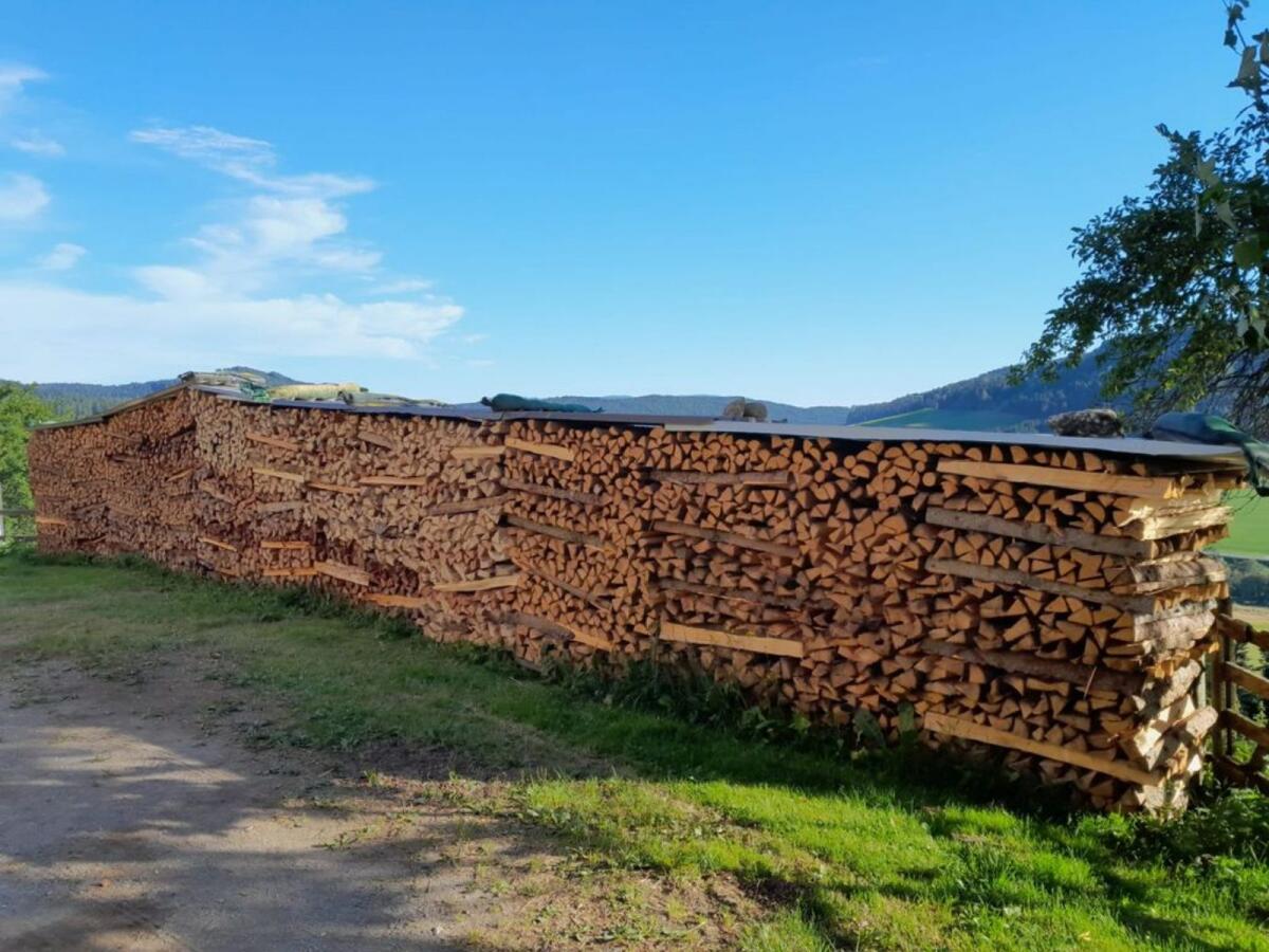 Fichten-Lärchenscheiter und Lärchenbriegelholz 2