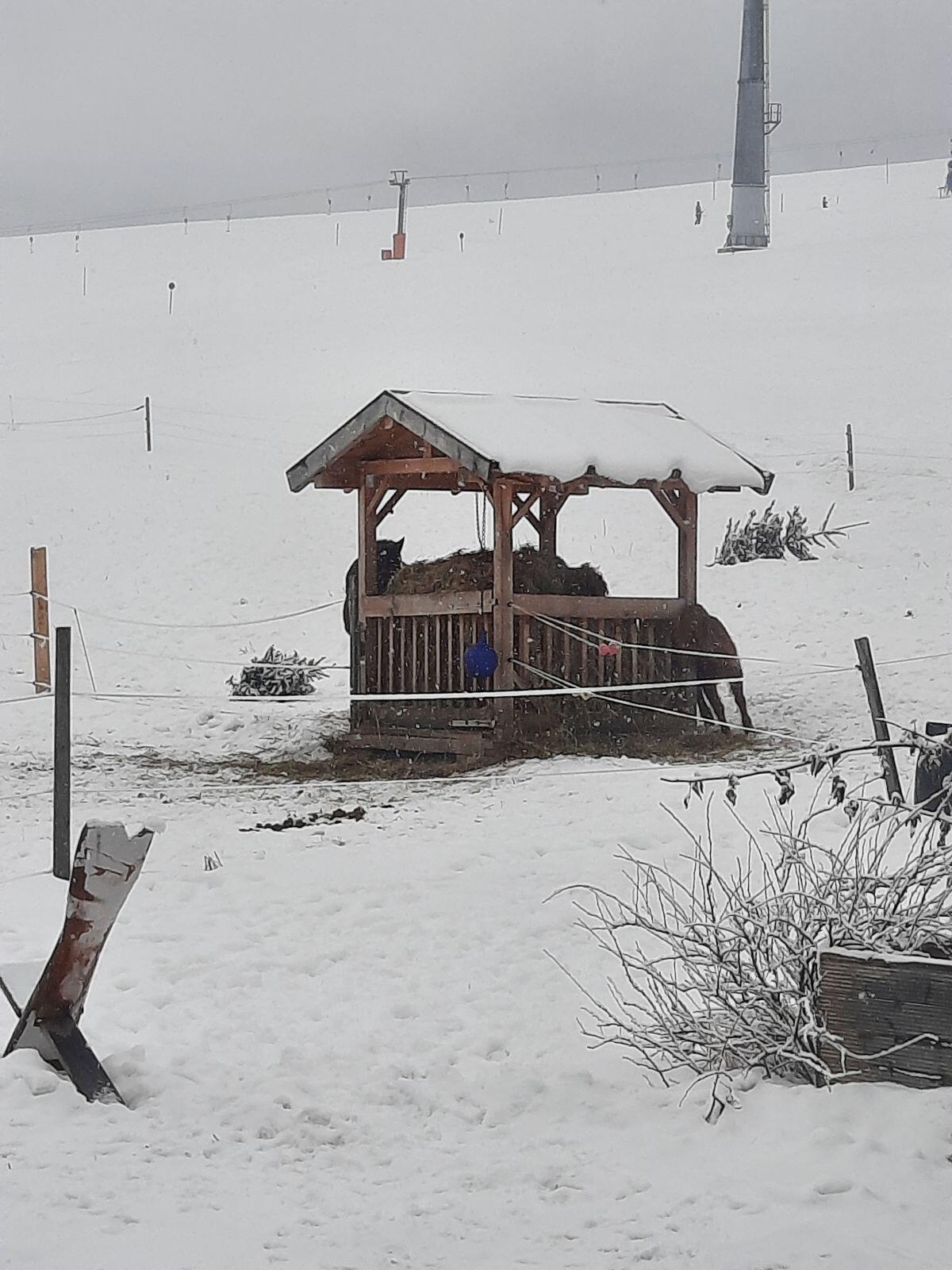 Urlaub am Obenfigerhof 3