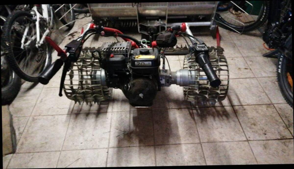 Rapid Rex 2020 3