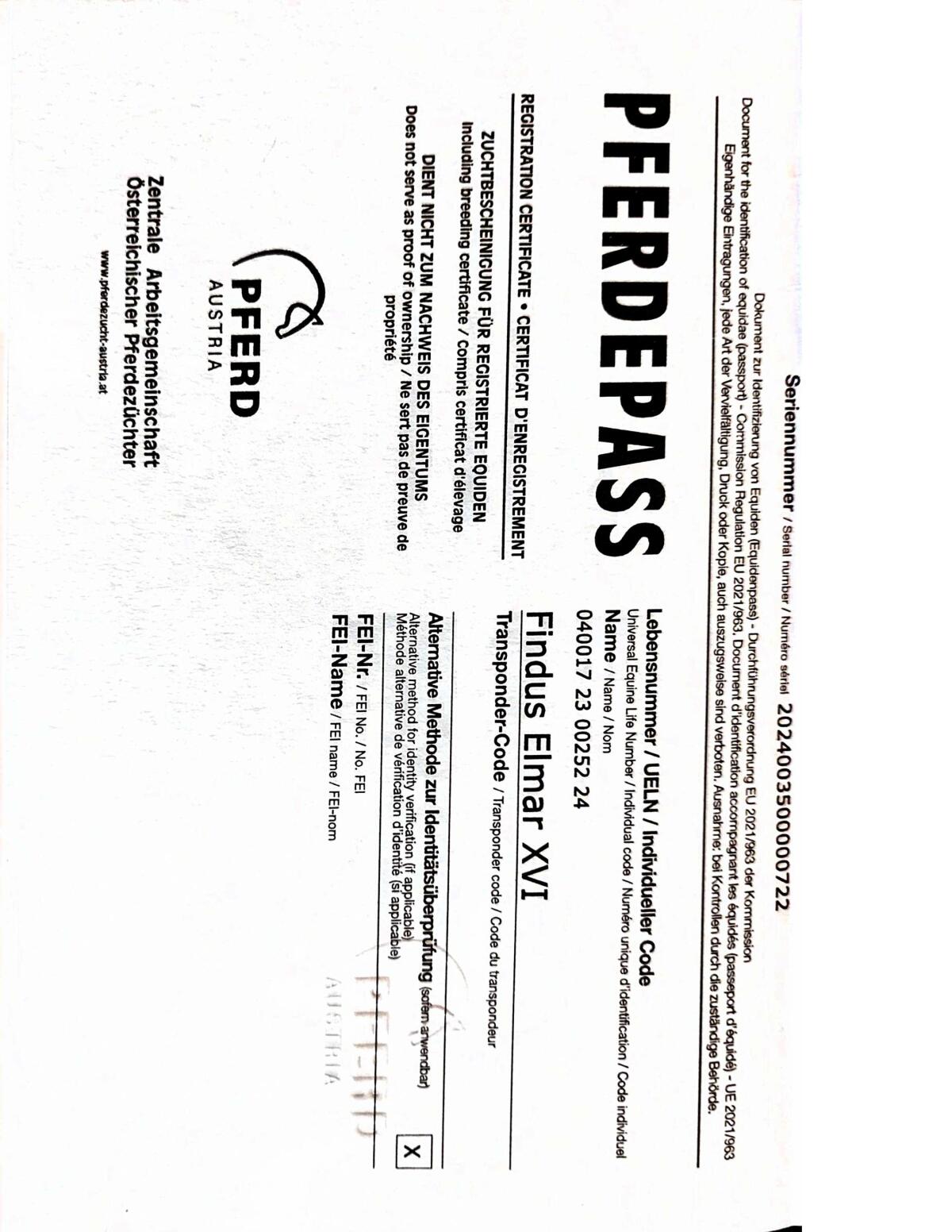 Verkaufe zwei zweijährige Rap-Hengste 3