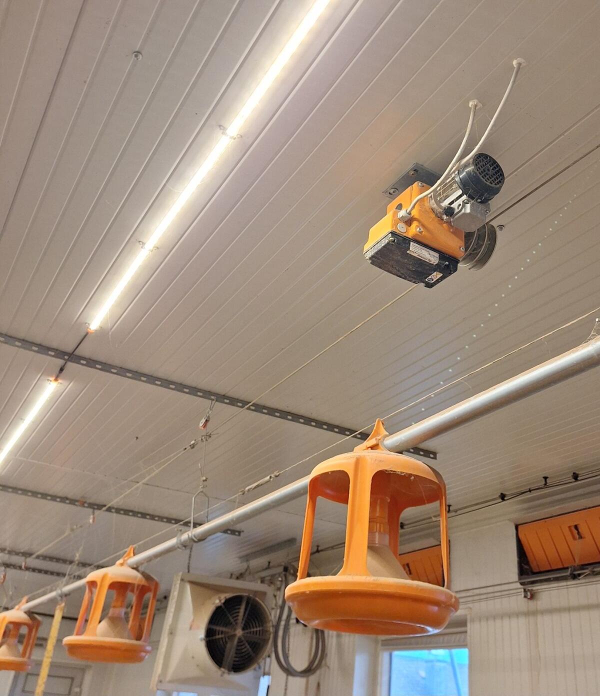 Futter- und Tränkebahnen Hühner Puten Geflügel 3