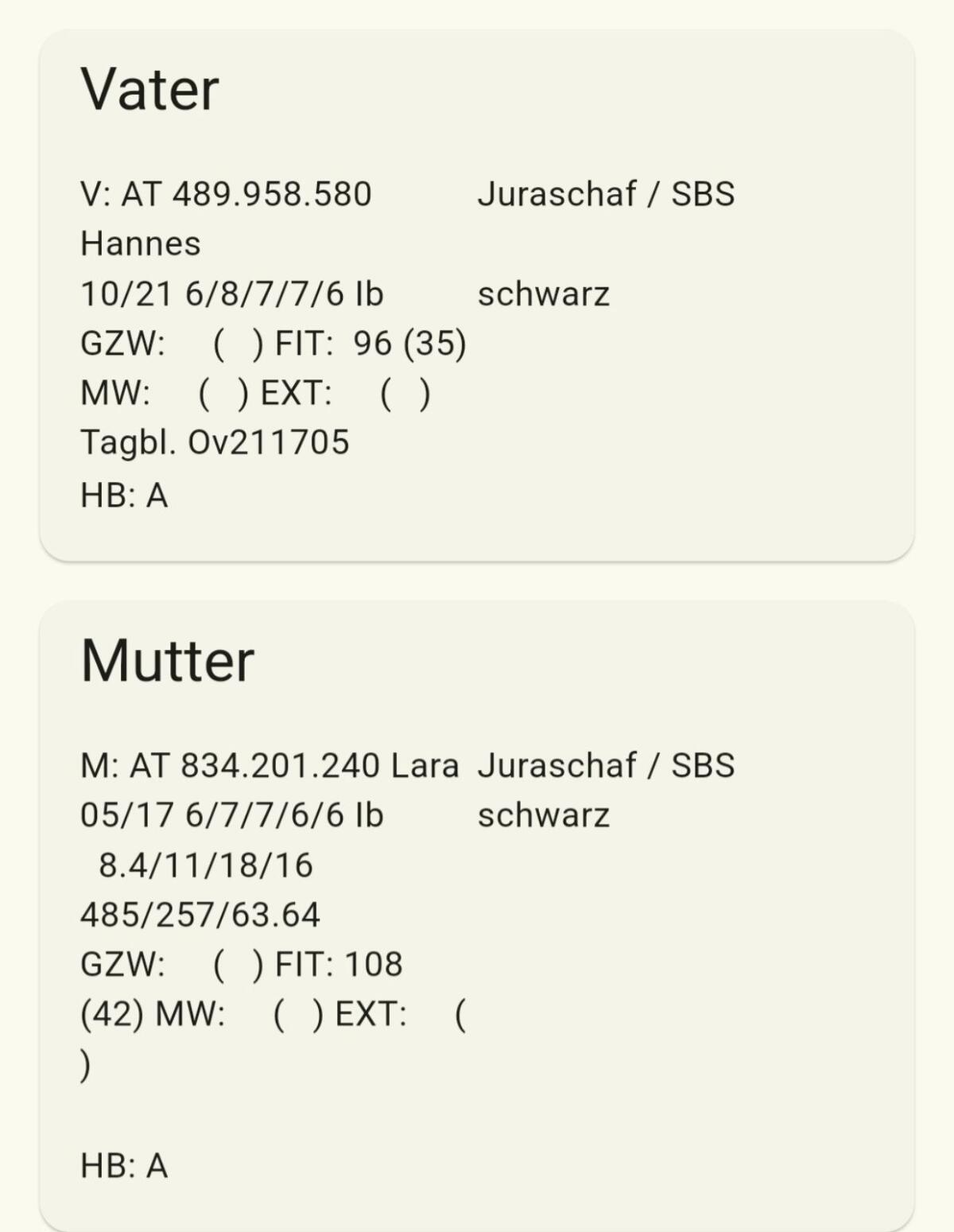Jura Widder Schafbock Schafe 3