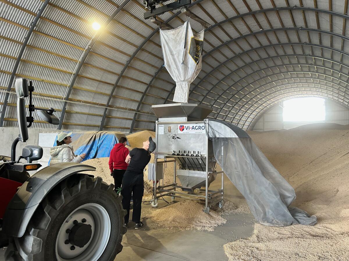 Getreidereiniger CZA/10 für Big Bag Edelstahl Grain Cleaner 2