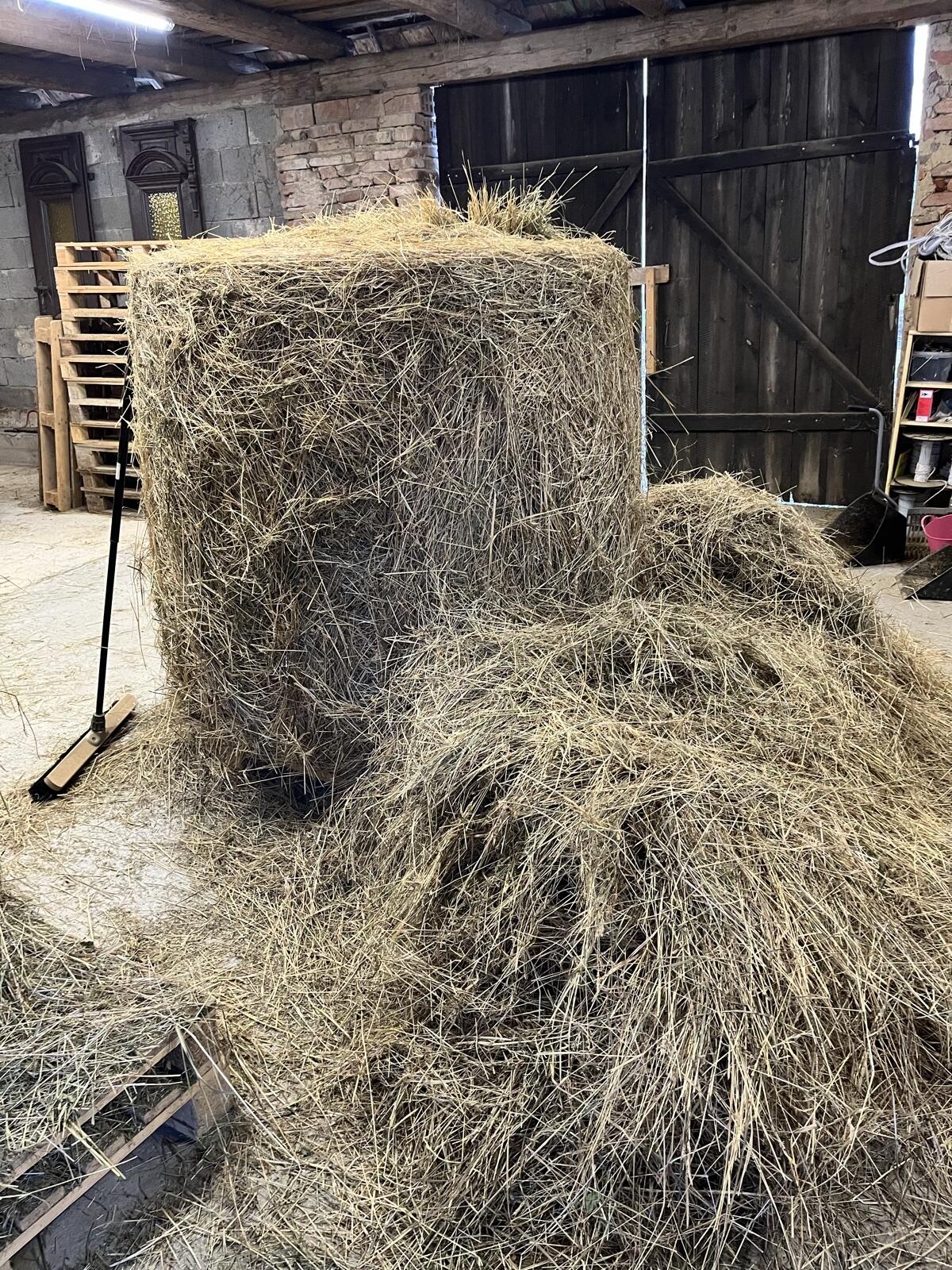 Heu zu verschenken 2