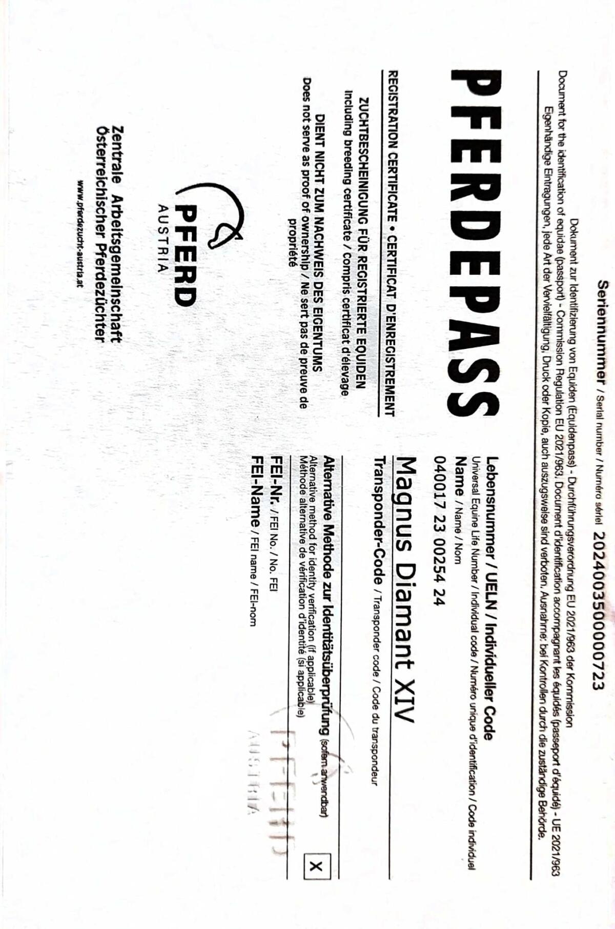 Verkaufe zwei zweijährige Rap-Hengste 2