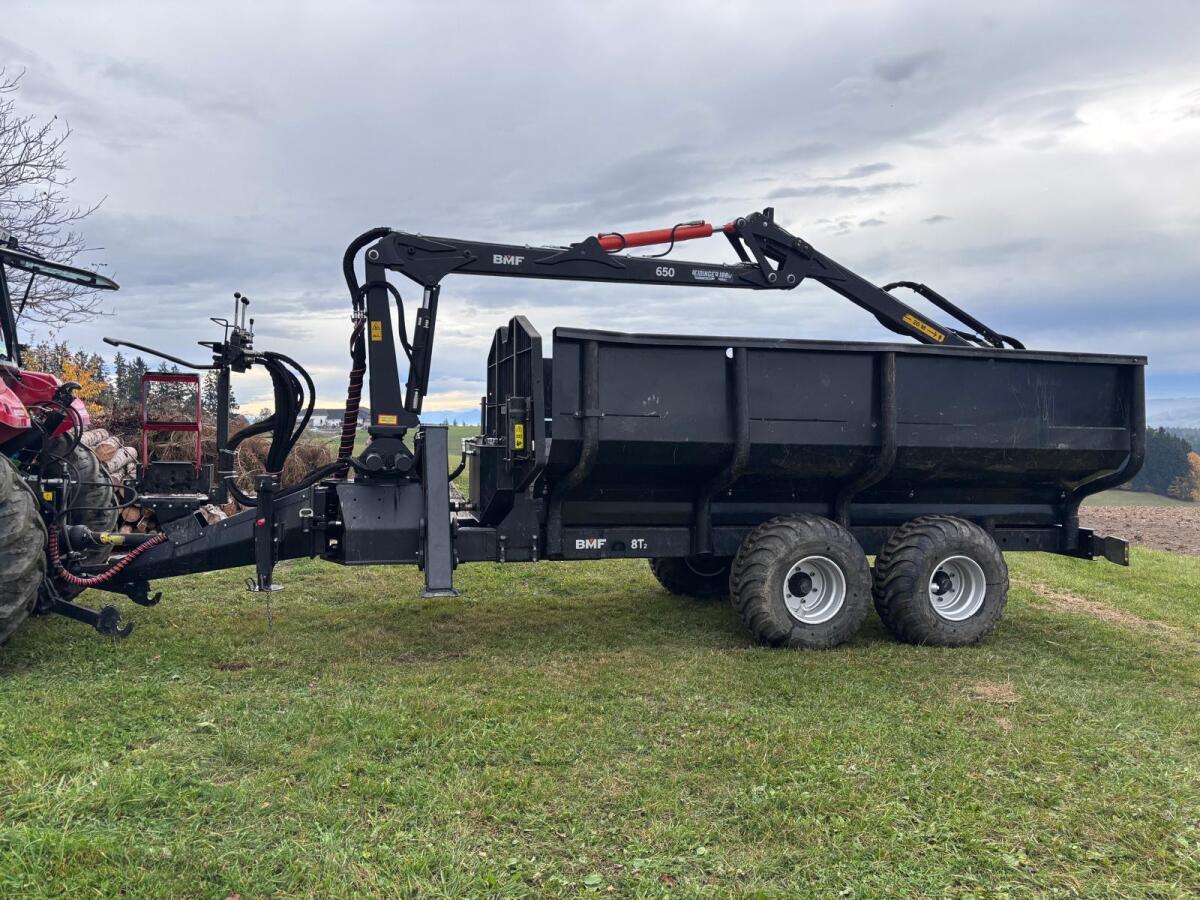 Rückewagen BMF 8T2 / Kran 650 3