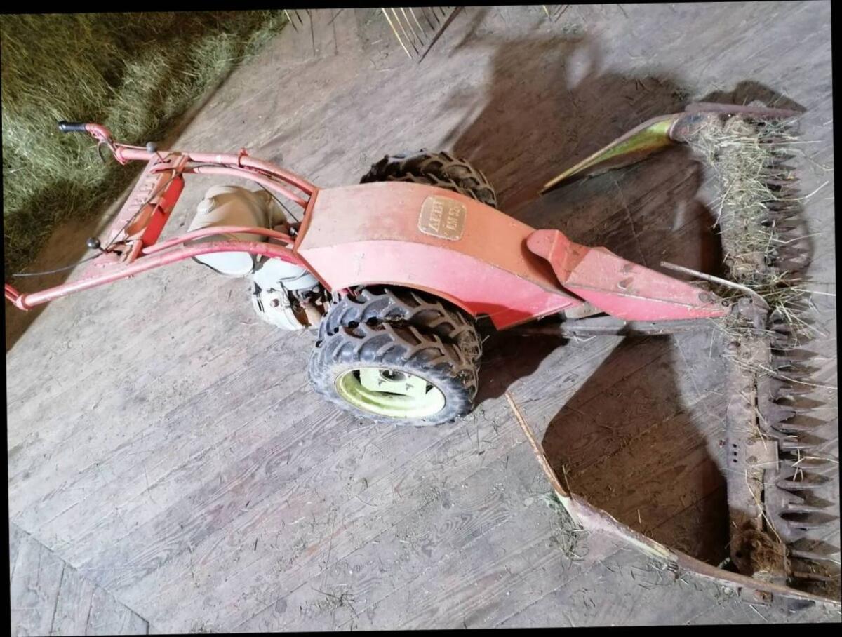 Aebi AM 52 Motormäher 2