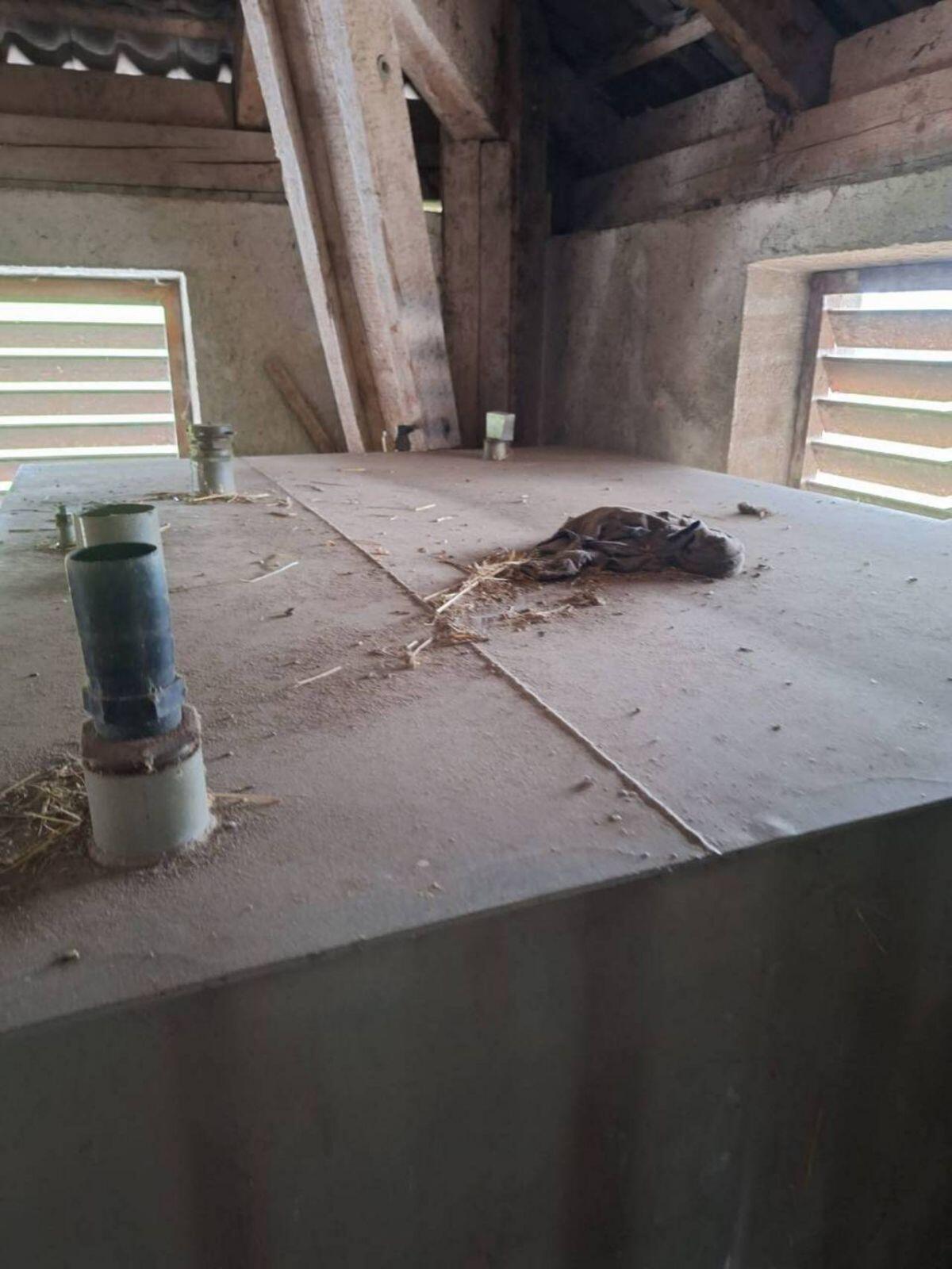 Heizöltank oder Dieseltank 3