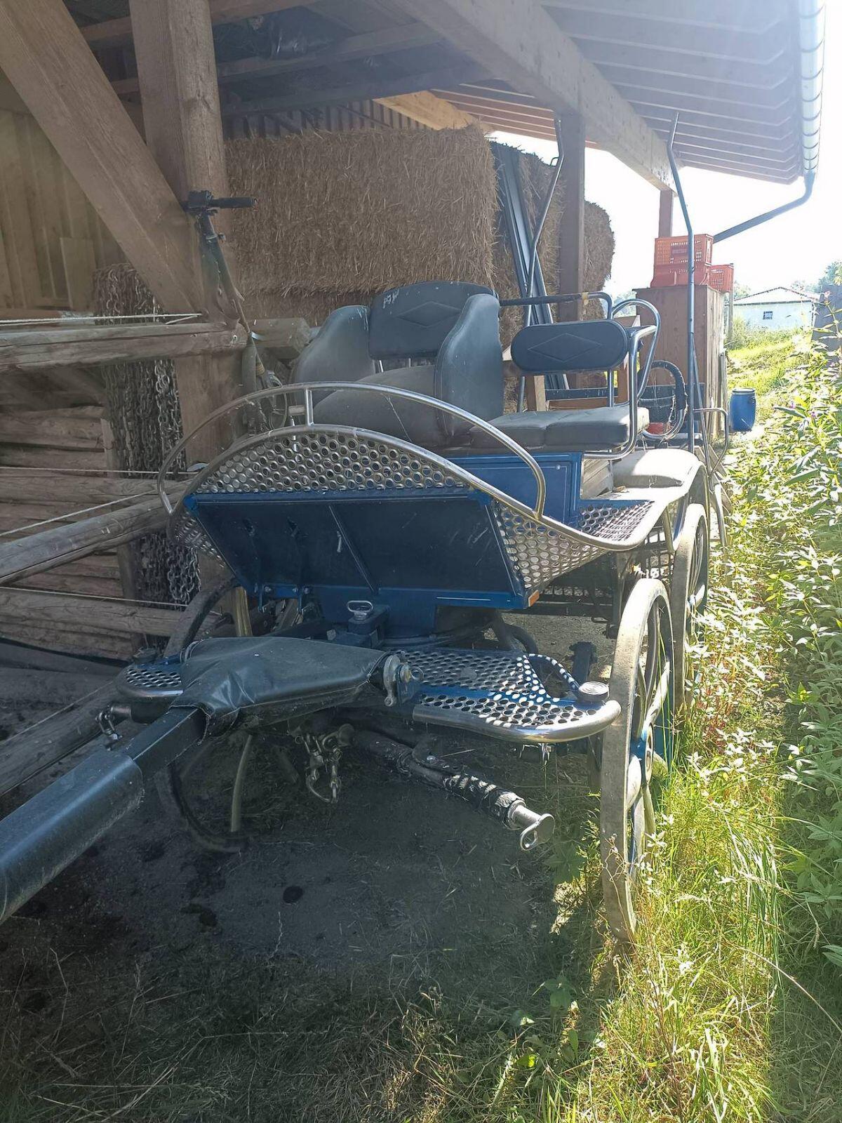 Schwerer Marathonwagen 3