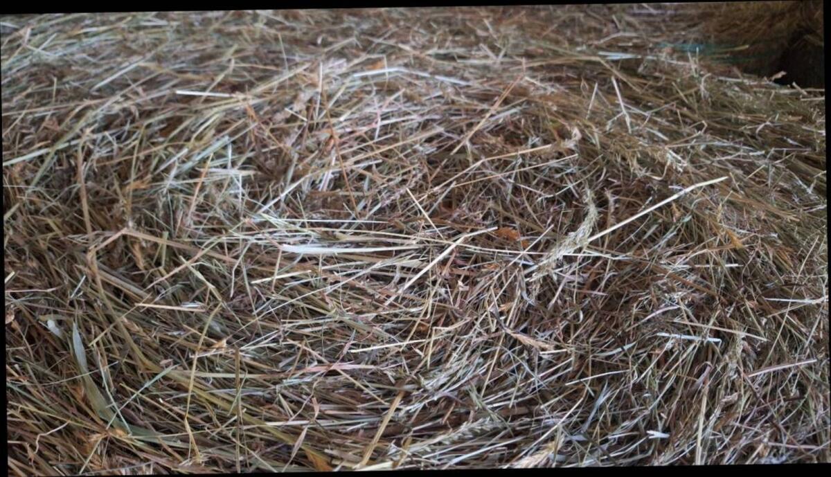 Verkaufe Bio-Heuballen Ernte 2025 2