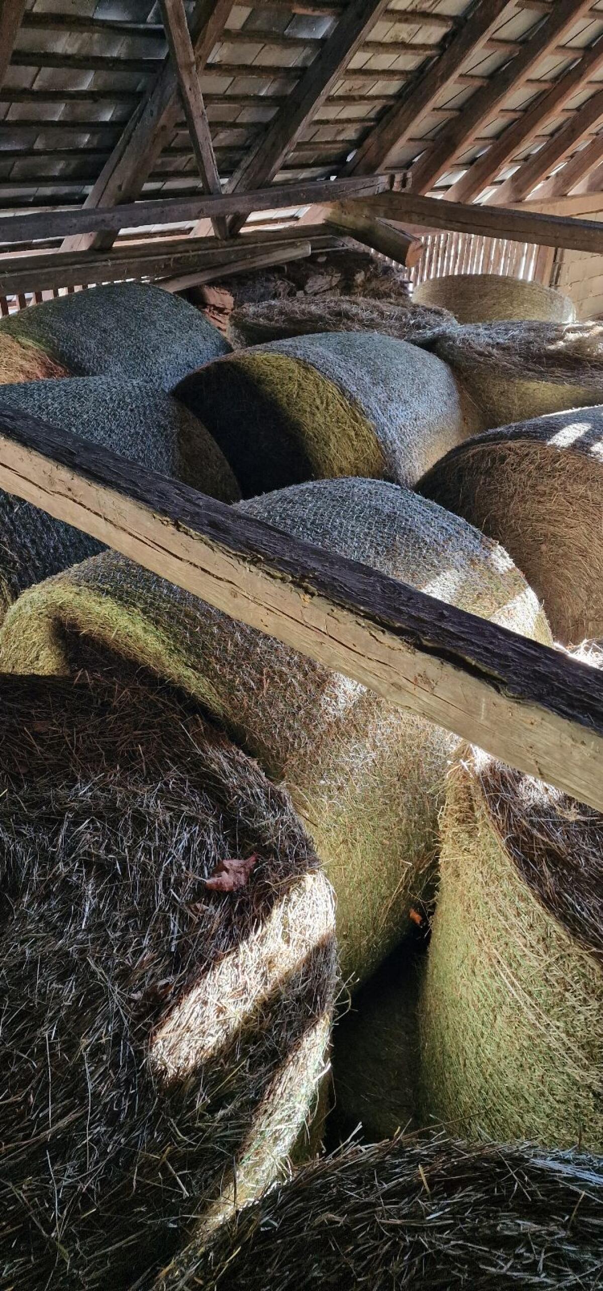 Heuballen zu verkaufen 2