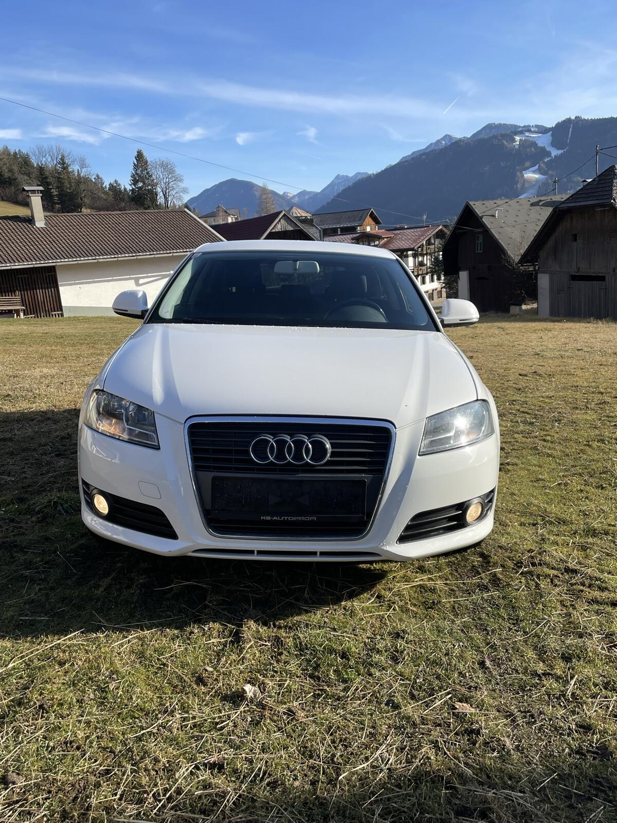 Audi A3 8P 1,6 3