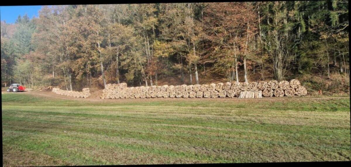 Brennholz Buche Bündel oder Big Pack SRM 2