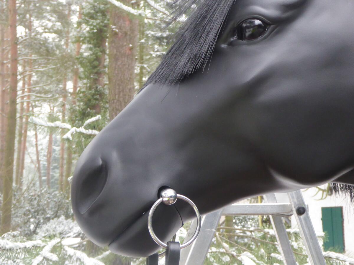 Pferd lebensgroß in 3D zum Aufsitzen bis 100 kg belastbar 3