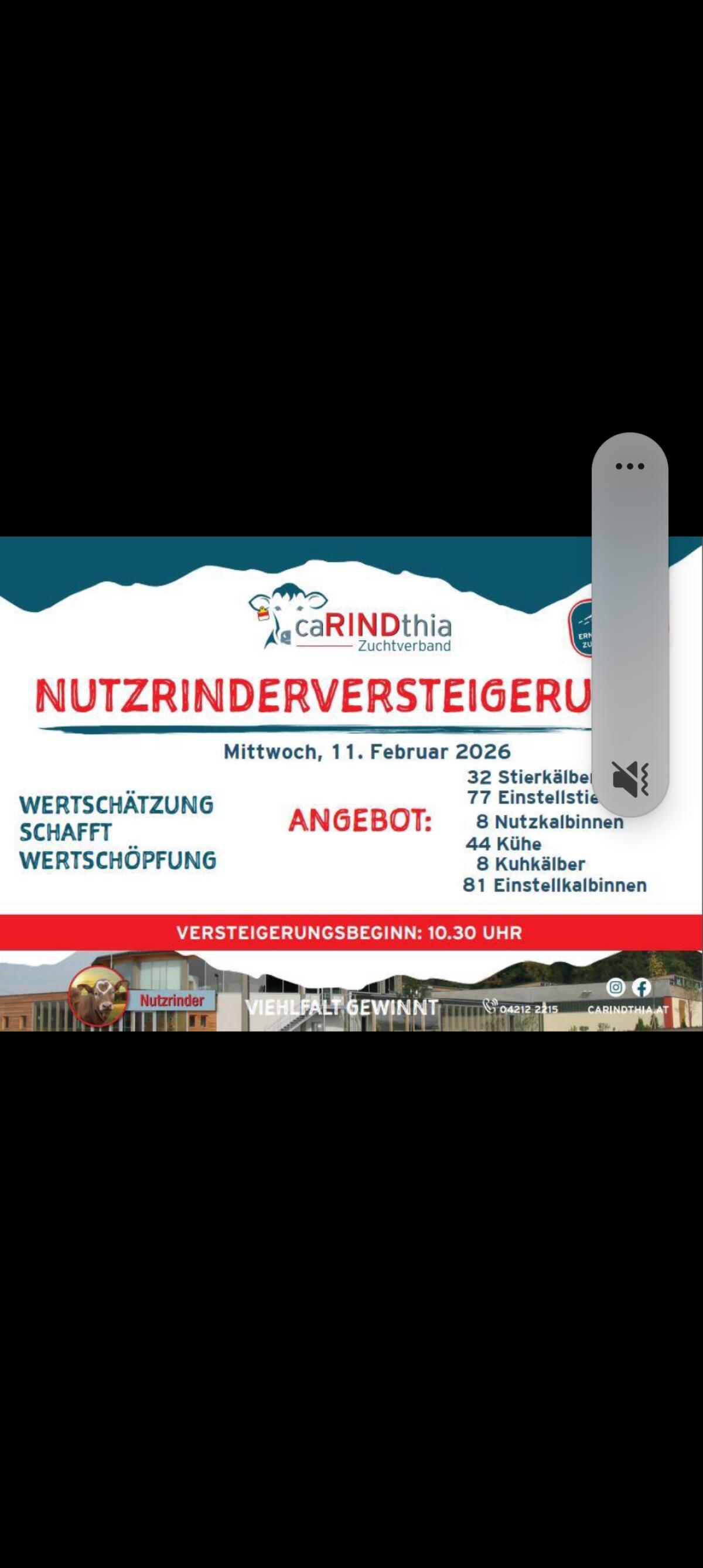 Einsteller Nutzrinder 2